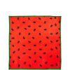 REVOLUTION SKINCARE x Jake Jamie Watermelon Microfibre Cleansing Cloths Reinigungstuch