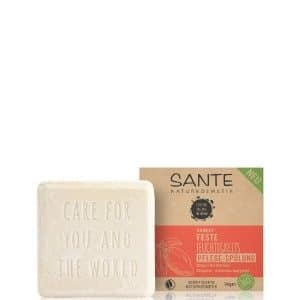 Sante FAMILY Feste Feuchtigkeits Pflege-Spülung Mango & Bio-Aloe Vera Conditioner