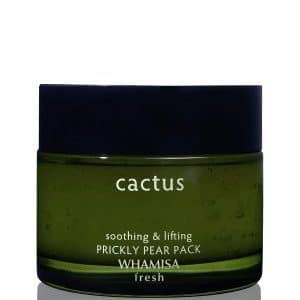 WHAMISA Fresh Cactus Prickly Pear Pack Gesichtsmaske