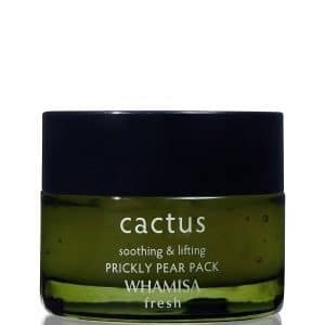 WHAMISA Fresh Cactus Prickly Pear Pack Gesichtsmaske