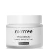 rootree Phyto ground Calming Moisture Cream 80 g Gesichtscreme