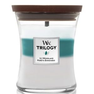 WoodWick Trilogy Mittleres Glas Icy Woodland Duftkerze