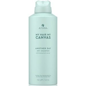 ALTERNA My Hair My Canvas Another Day Dry Shampoo Haarshampoo