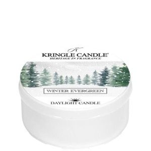 Kringle Candle Daylight Kringle Winter Evergreen Duftkerze