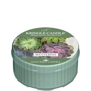 Kringle Candle Daylight Kringle Succulents Duftkerze